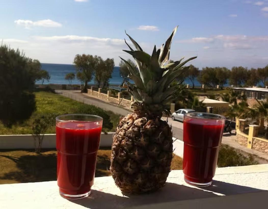 Thalassitis Coastal Apartments Perivolos  Buitenkant foto